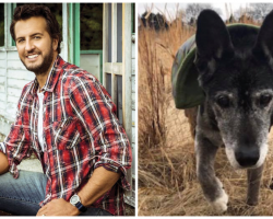 Luke Bryan Sees 18-Yr-Old Dog Who Needs Forever Home, Instantly Fell In Love