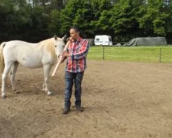 Man Captivates Horses With Native Flute