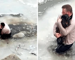 Man Sees Terrified Dog Stuck In Frozen Waters, Risks His Life & Jumps Right In