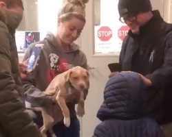 Parents surprise their son with puppy at animal shelter after their dog passed away