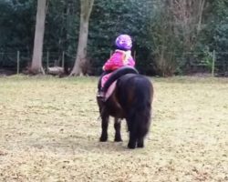 Mom Films 3-Year-Old Sitting On A Horse, But When They Turn Around, I Never Expected THIS!