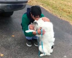 Abused dog was so diseased he couldn’t be pet – now, can’t stop hugging his new owner