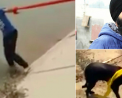 A Sikh man takes off his turban and uses it to rescue drowning dog