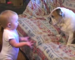 Dad Captures Baby Ranting To Their Bulldog, Baby’s ‘Conversation’ Has The Internet Talking