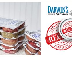 FDA Warns: Do Not Feed These 3 Lots Of Darwin’s Natural Dog Food