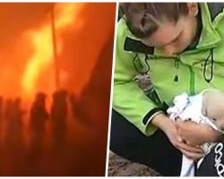 Mama Dog Buries Her 9 Puppies To Save Them From Raging Forest Fire