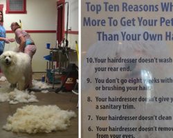 Groomer Puts Up List Explaining Why It Costs More Than You Getting Your Haircut