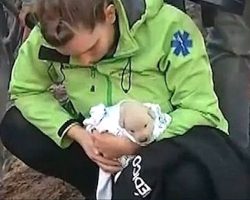 Heroic dog buries her puppies and saves them from devastating forest fire