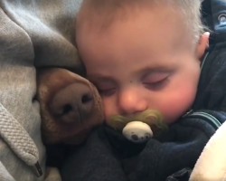 Mom’s Filming The Baby Taking A Nap When A Nose Pokes Through Beside Him