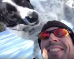 Man Is Asked To Walk The Dog, Figures They Should Go Sledding While Out