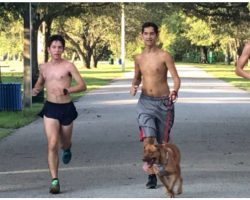 Shelter Asks Track Team To Take Dogs On Runs- Student Can’t Leave One Dog Behind