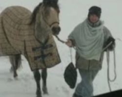 Semi driver spots girl with horse out truck window after icy roads leave him stranded overnight