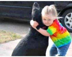 Little Girl Sends Letter To God After Dog Dies & Gets Beautiful Response