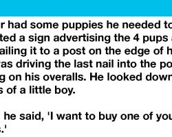 Boy Picks Out The Crippled Puppy Of The Litter To Buy From The Farmer