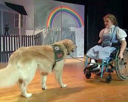 Student In Wheelchair And Her Service Dog Star In School’s ‘Wizard Of Oz’