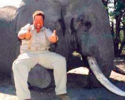 Jimmy John’s CEO Exposed As Trophy Hunter, Gives Thumbs Up After Killing Elephant