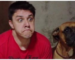 Dog Throws A Hilarious Fit When His Human Starts Imitating His Every Move