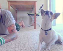 Handsome Italian Is Doing Yoga, His Dog Decides Joins In And It Cracks Him Up