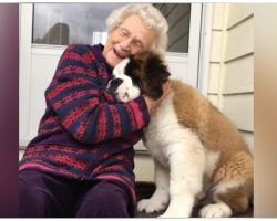 Lonely 95-Year-Old Widow Feels Like A Kid Again When Pup Comes To Visit