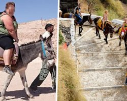 Tourists Urged To Stop Riding Donkeys Up Santorini’s Steep Steps