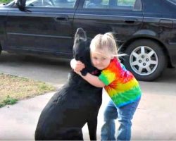 Little Girl Mails Letter To God After Dog Passes And Gets Amazing Response