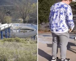 Teens Unsure When Dog Approaches At Water Park, Only To Realize It Desperately Needs Their Help