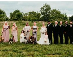 Clever bride has bridesmaids carry shelter dogs down aisle instead of bouquets