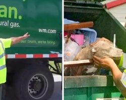 Owners Wanted Her To Be Crushed To Death, So They Threw Her In A Garbage Truck