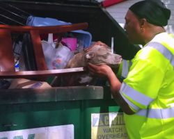 Family Wants Their Dog Crushed, So They Throw Her Out With The Trash