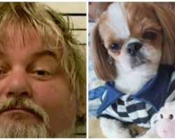 Groomer’s husband charged with shooting and killing 4 dogs in her care