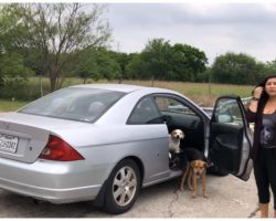 Woman caught abandoning her 4 dogs in vacant lot by animal lover