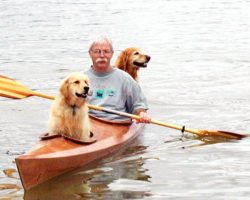 Man Builds Special Kayak So He Can Enjoy His Favorite Hobby With His Dogs