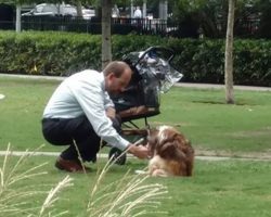 Man Takes Dog Out Of Stroller And Bends Down To Him Thinking That No One Is Watching Him