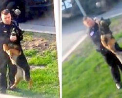 Shameless Officer Dangles His K9 Mid-Air, Strangles Him And Whips Him With Leash