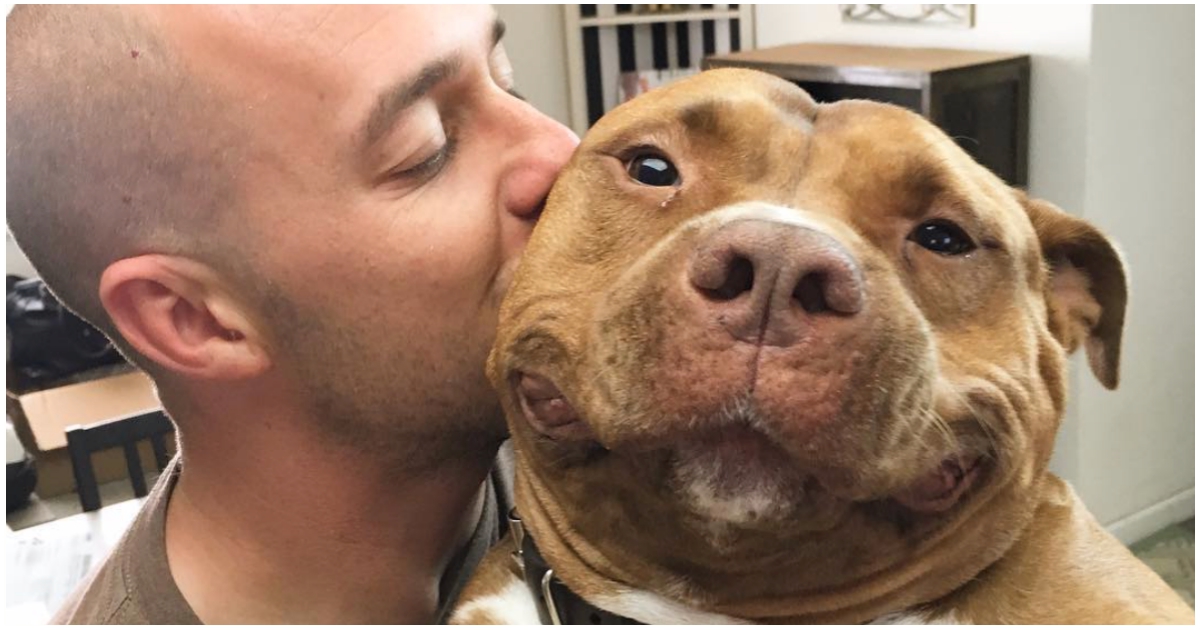 Pit Bull Cant Stop Smiling After Being Rescued These Photos Say It All