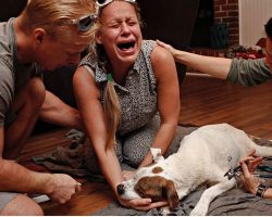 Poignant Photo Series Captures Raw Emotions Of Pet Owners As They Say Goodbye