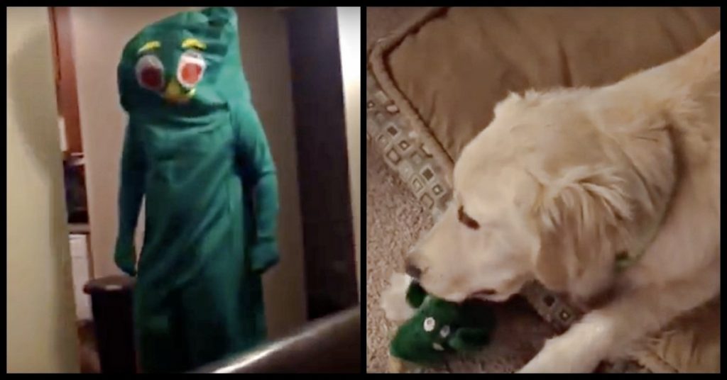 Dog’s Favorite Toy Comes To Life (And She Loses Her Mind!)