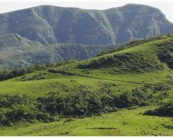 Photographer Goes On Hike And Sees Giant Sleeping Dog Looking Over The Valley