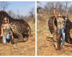Woman Brags Online About Killing Rare Black Giraffe- Internet Is Outraged