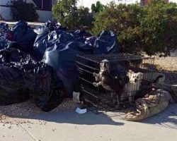 Woman Moved And Left Her Terrified Dogs Caged On The Sidewalk With The Trash