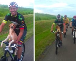 Cyclist Scoops Up Abandoned Puppy On Route, Brings Him Along For The Ride