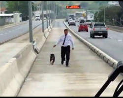 Passengers Applaud As Bus Driver Stops To Rescue Stray Dog On Busy Highway
