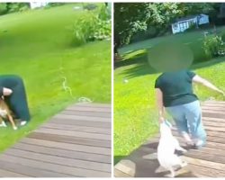 Pet Sitter Caught Hurting Pups In Her Care, Busted On Surveillance Video