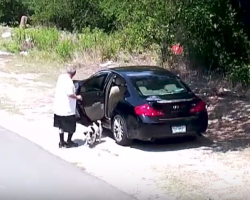 Man Abandons Dog On Side Of The Road — Now She Just Wants To Kiss Her New Owners