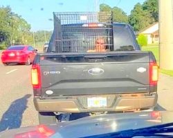 Woman Locks Grown Man In Dog Cage & Drives Around Town, Gets Pulled Over By Cops