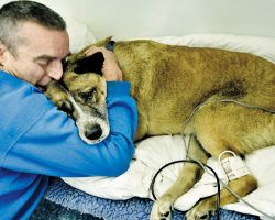 Heroic Man Runs Into Burning Home To Save His Best Friend Who Was Trapped Inside