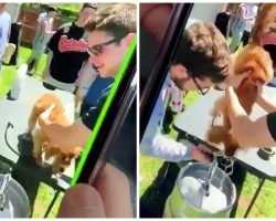 Students Forced Dog To Drink Beer From Keg and Filmed It