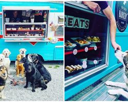 Pups Near & Far Are Flocking To This Glorious Food Truck Made Just For Dogs