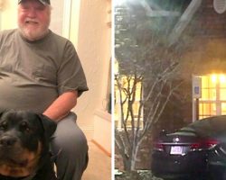 Veteran Spends Night In Car After Hotel Denies Him Room Due To His Service Dog