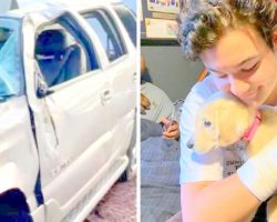 UPDATE: Puppy Lost During Car Crash Survives 13 Days In Desert, Reunited With Dad